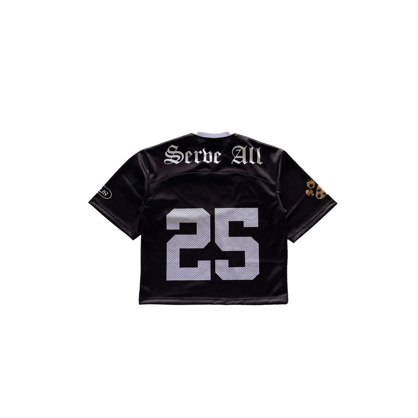 Serve All Jersey